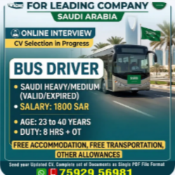 BUS DRIVER Saudi