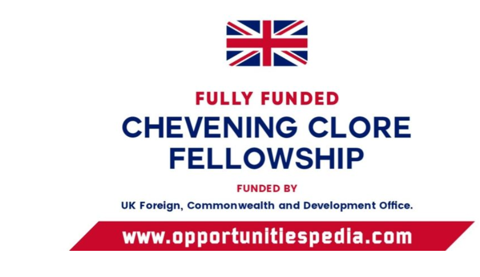 Chevening Clore Leadership Fellowship 2026 in UK (Fully Funded)