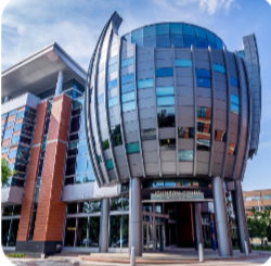 Ellison Undergraduate Scholars Program 2027, UK (Fully Funded)