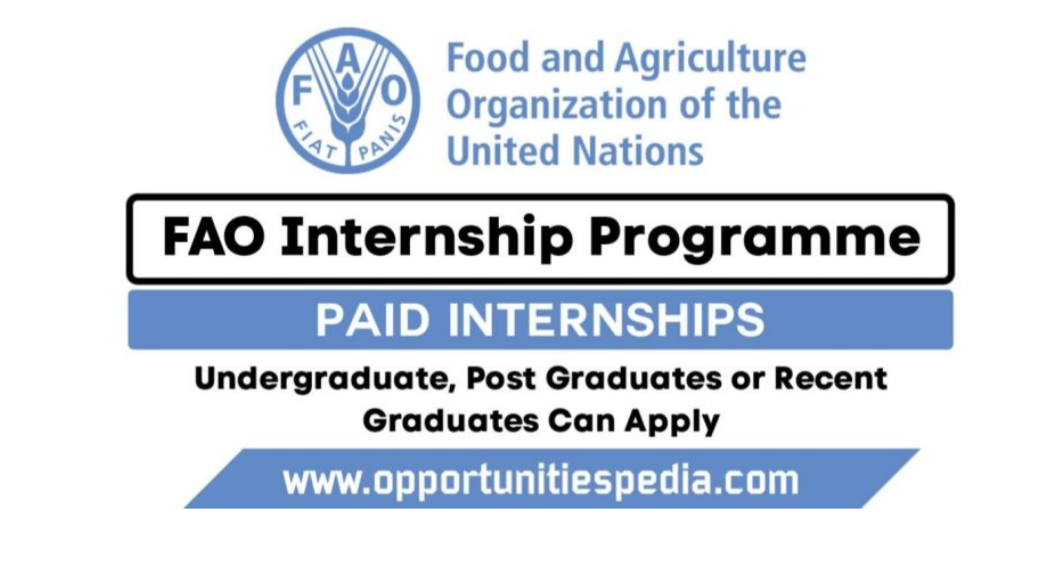 FAO Internship Programme 2026 | Paid Internships