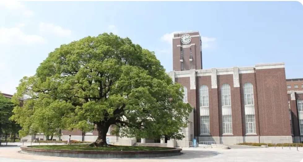 KYOTO University Amgen Scholars Internship 2026 (Fully Funded)