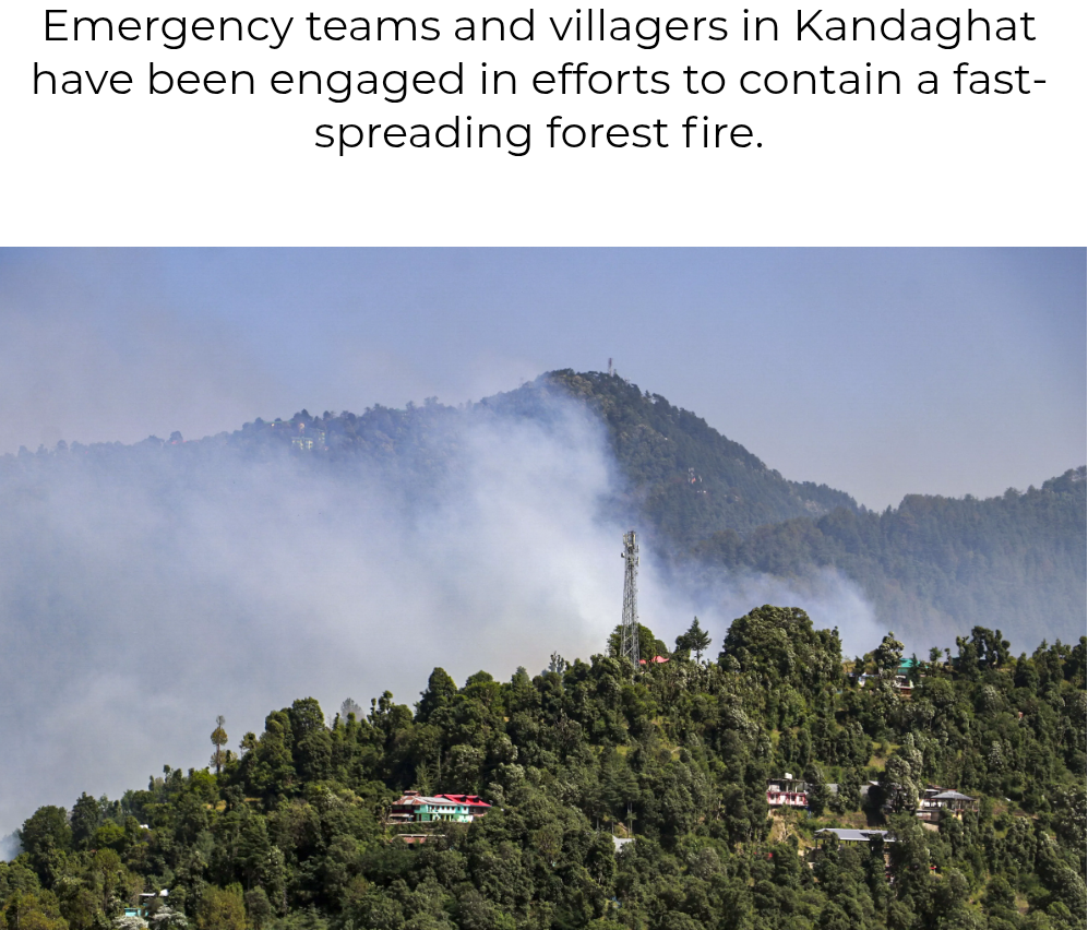 Massive Forest Fire Breaks Out in Himachal’s Solan District