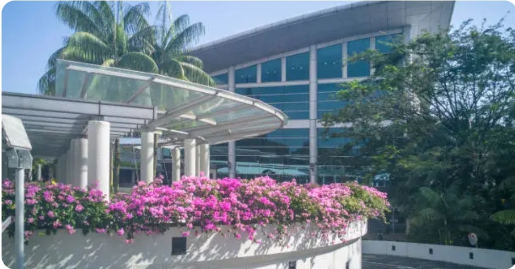 Nanyang Technological University Scholarship (NTU) For Undergraduates | Fully Funded 2026