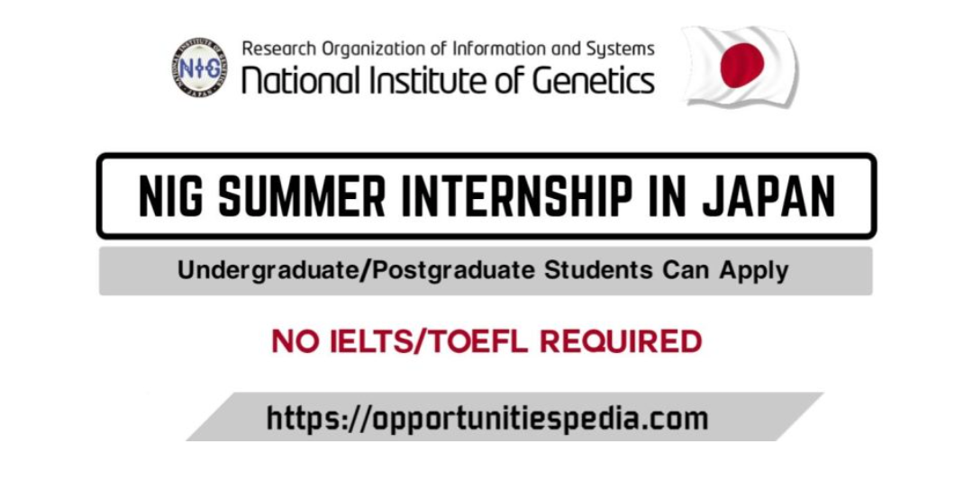 NIG Summer Internship 2026 in Japan