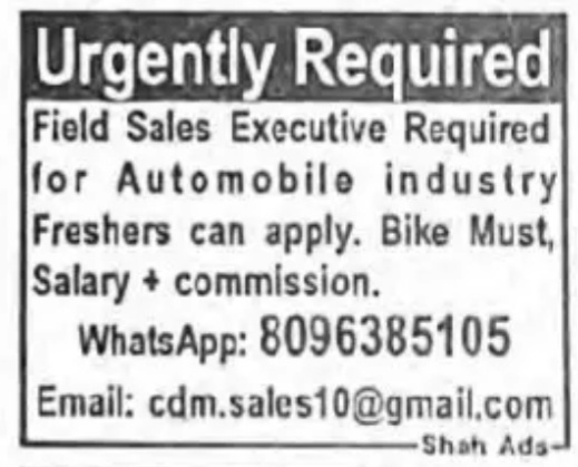 REQUIREMENT OF SALES EXECUTIVE