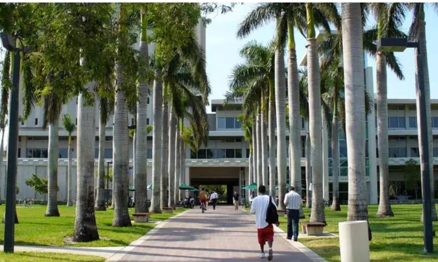 University of Miami Scholarships 2026–27 | Fully Funded