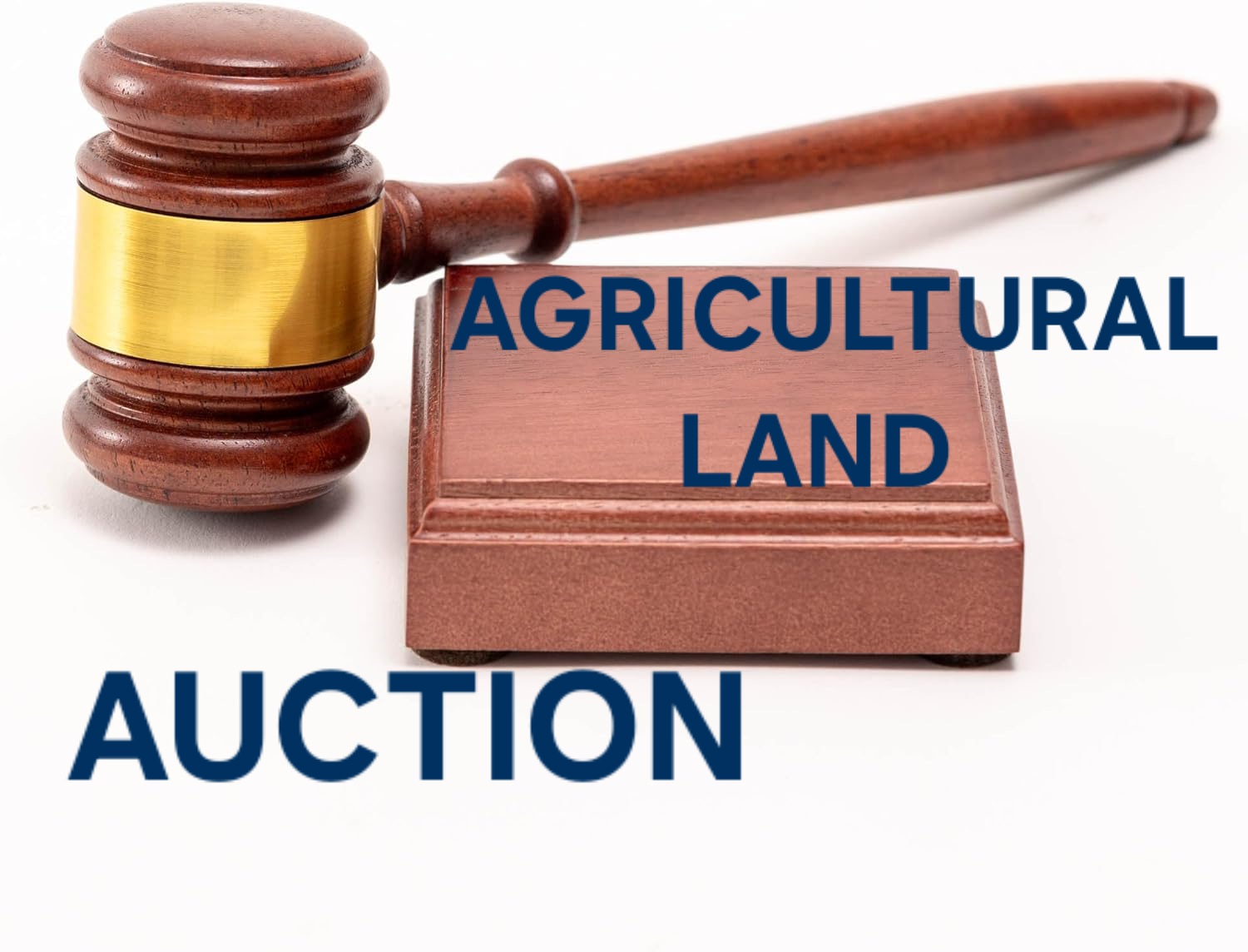 AGRICULTURAL LAND FOR AUCTION IN KADI, AHMEDABAD