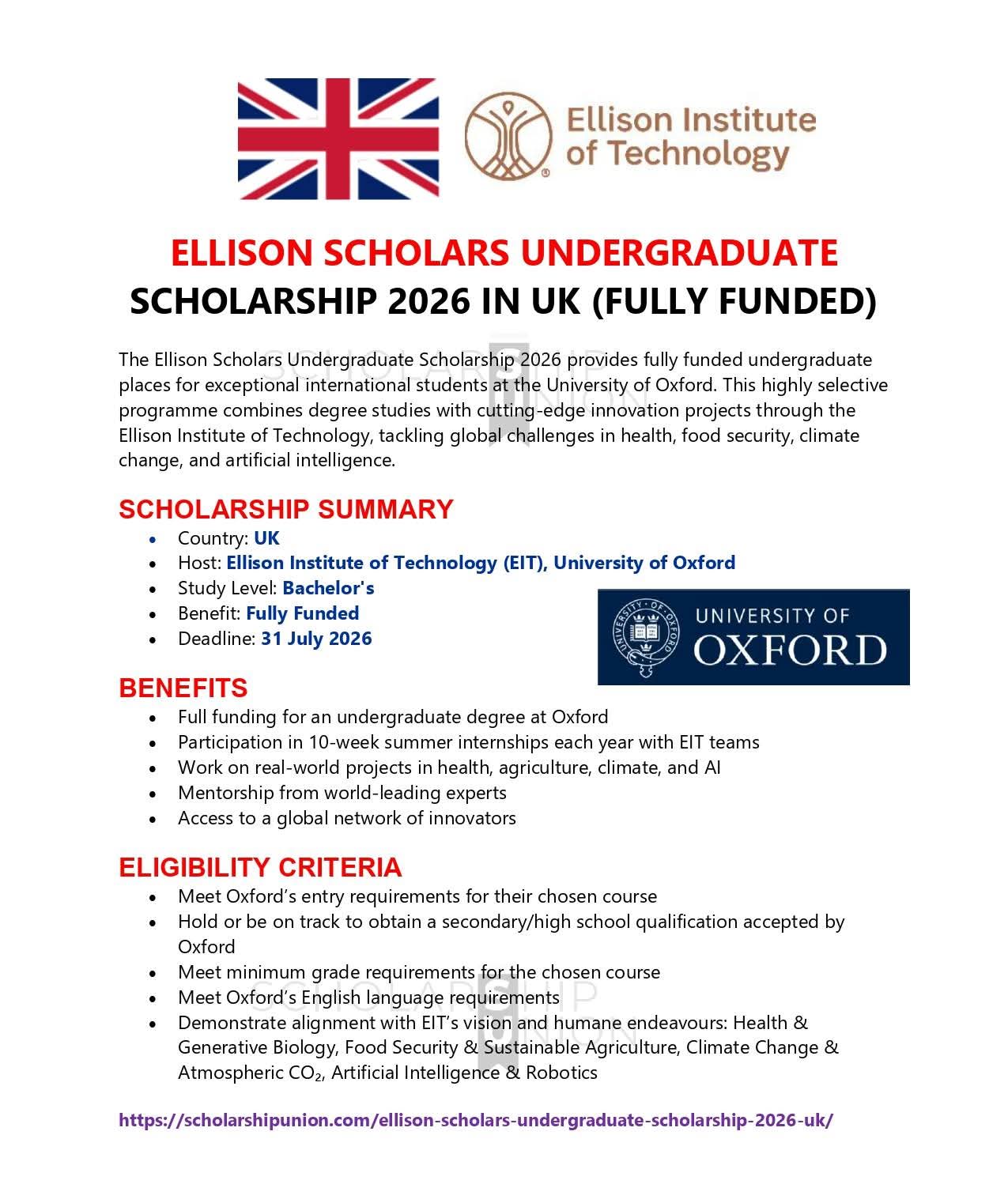 Ellison Scholars Undergraduate Scholarship 2026 in UK