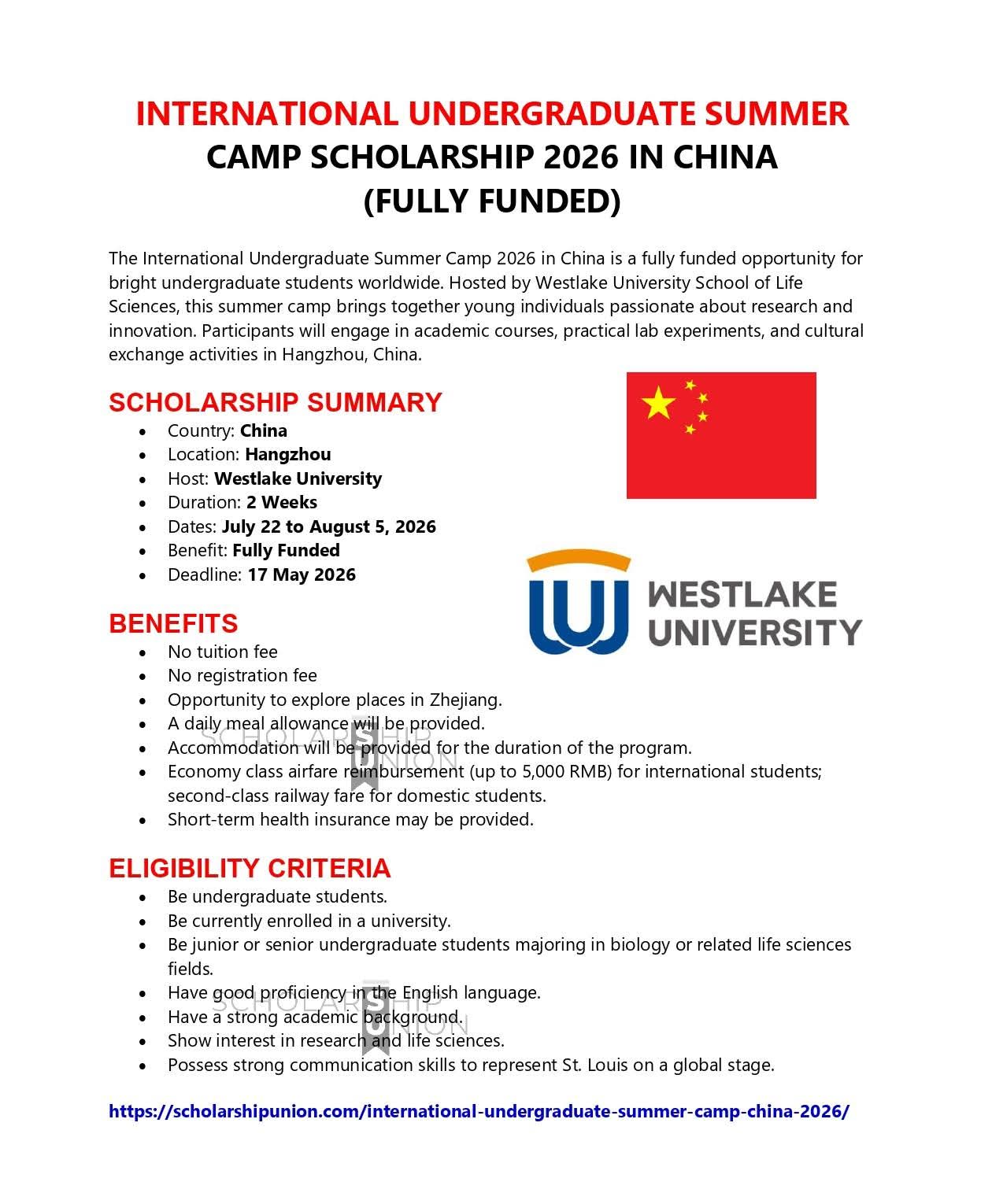 International Undergraduate Summer Camp Scholarship 2026 in China