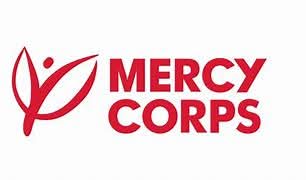 JOB OPPORTUNITY | GLOBAL NGO ROLE (REMOTE)