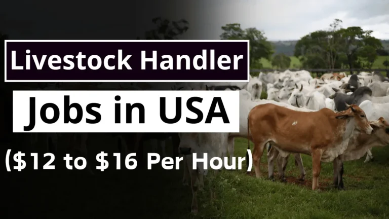 LIVESTOCK HANDLER JOBS IN THE USA