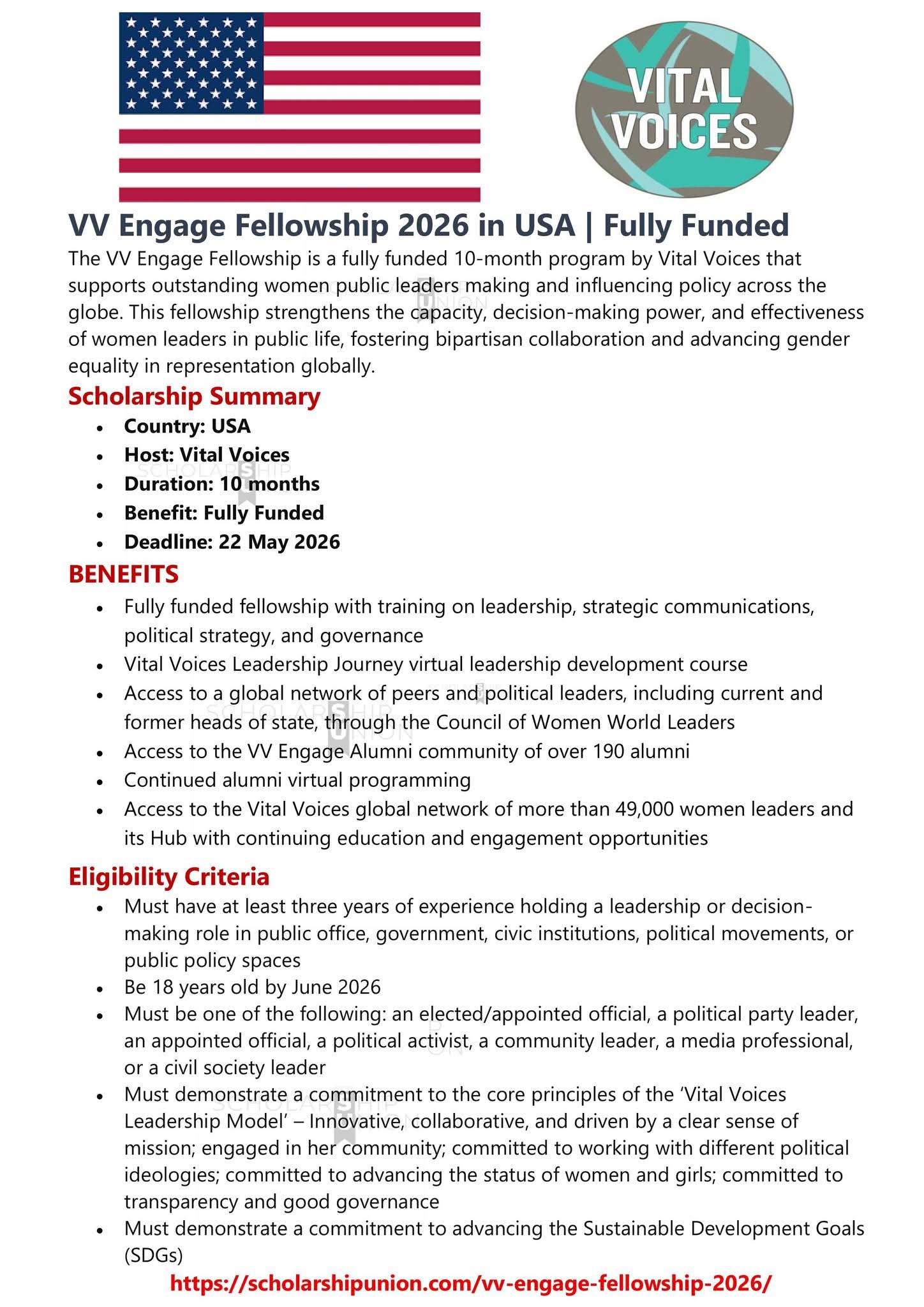 VV Engage Fellowship 2026 in USA