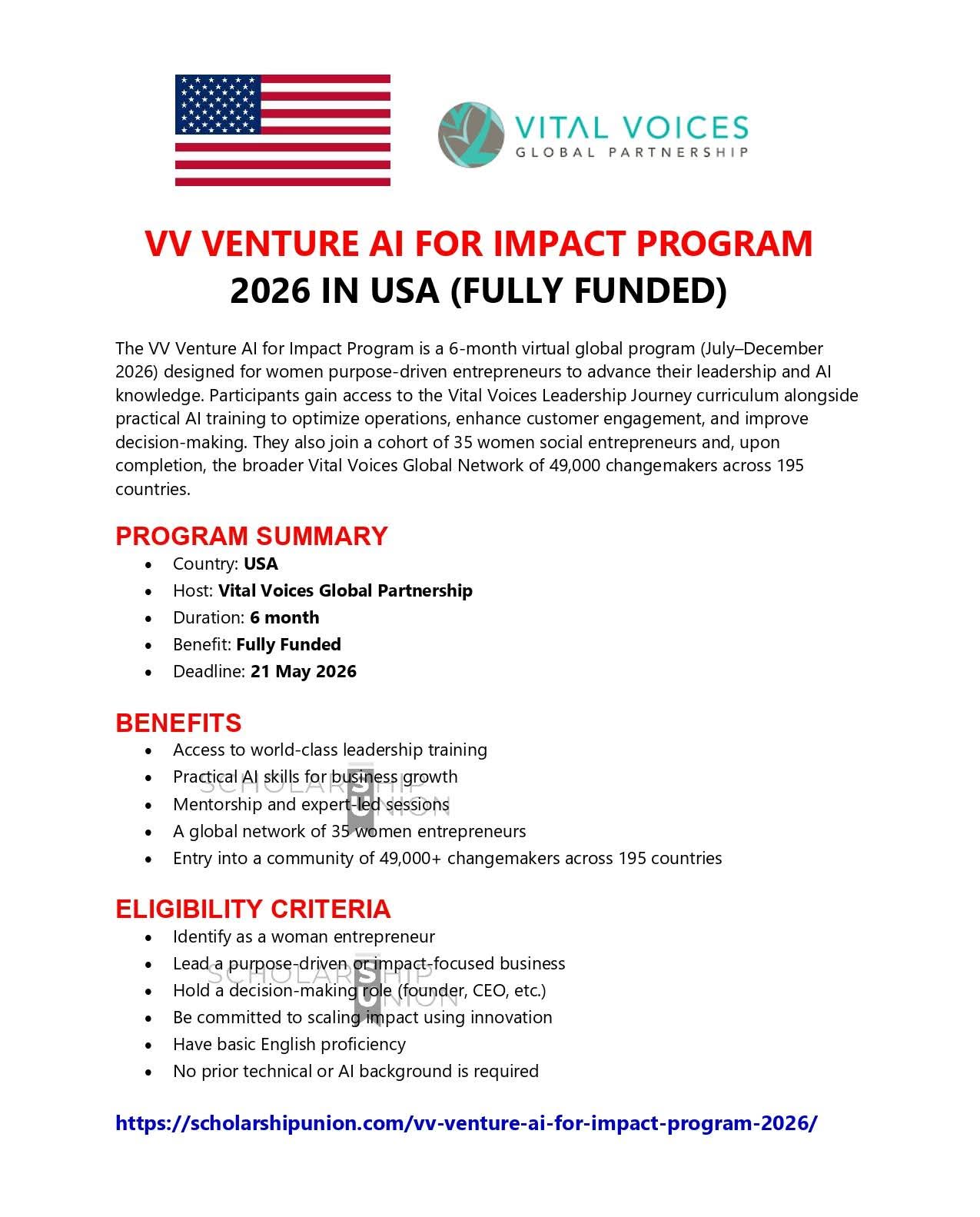 VV Venture AI for Impact Program 2026 in USA