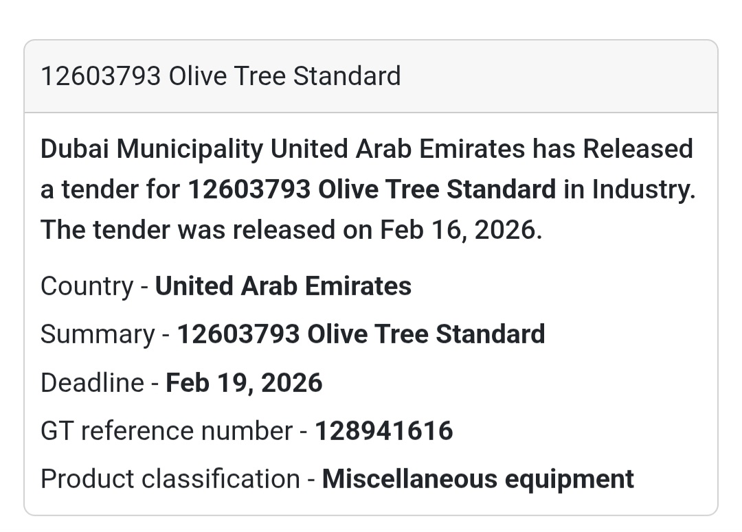 🌳 12603793 – Olive Tree Standard