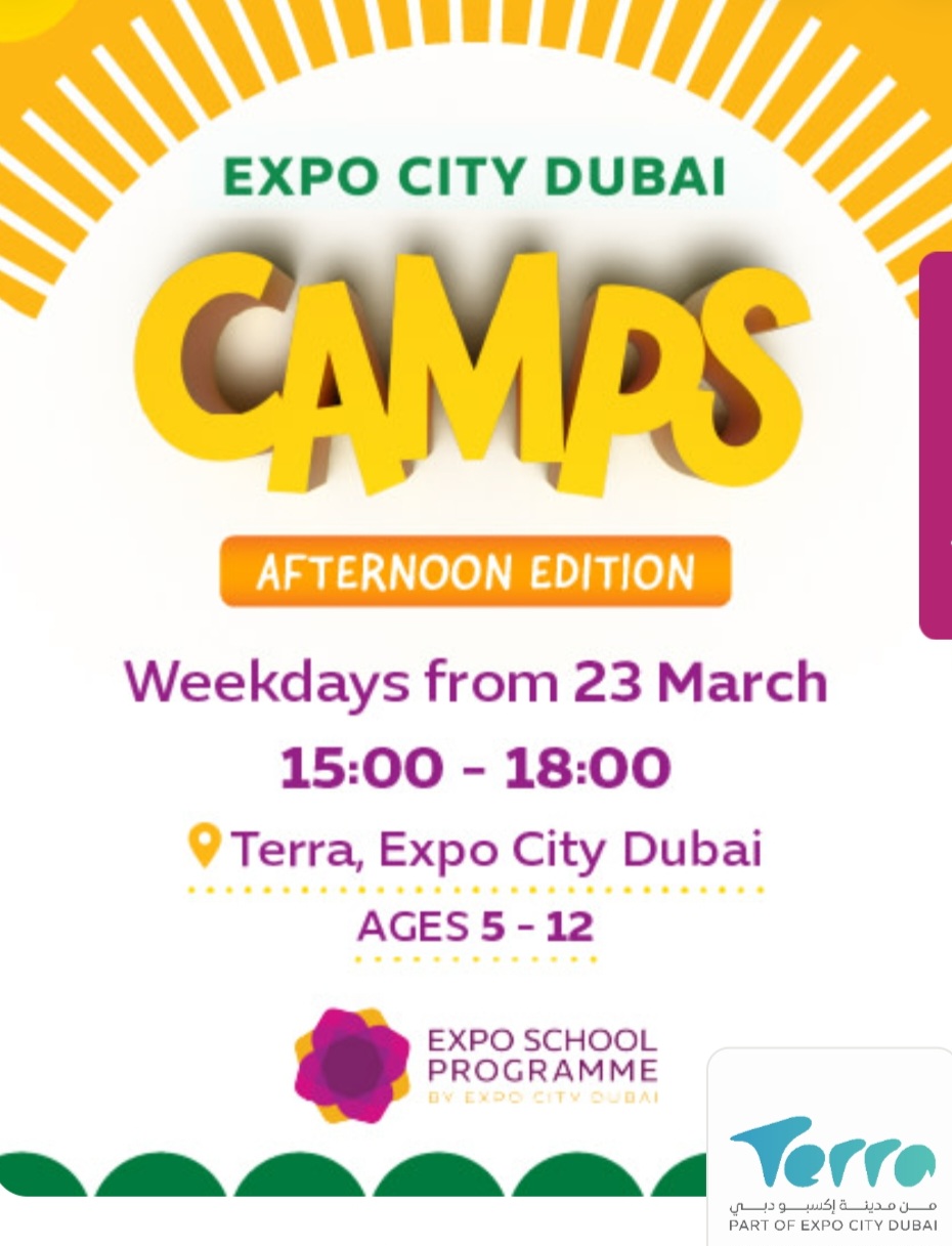 Afternoon Camp at Terra