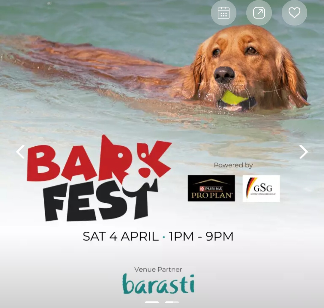 🐾 Bark Fest 2026 – The Ultimate Dog Day Out!