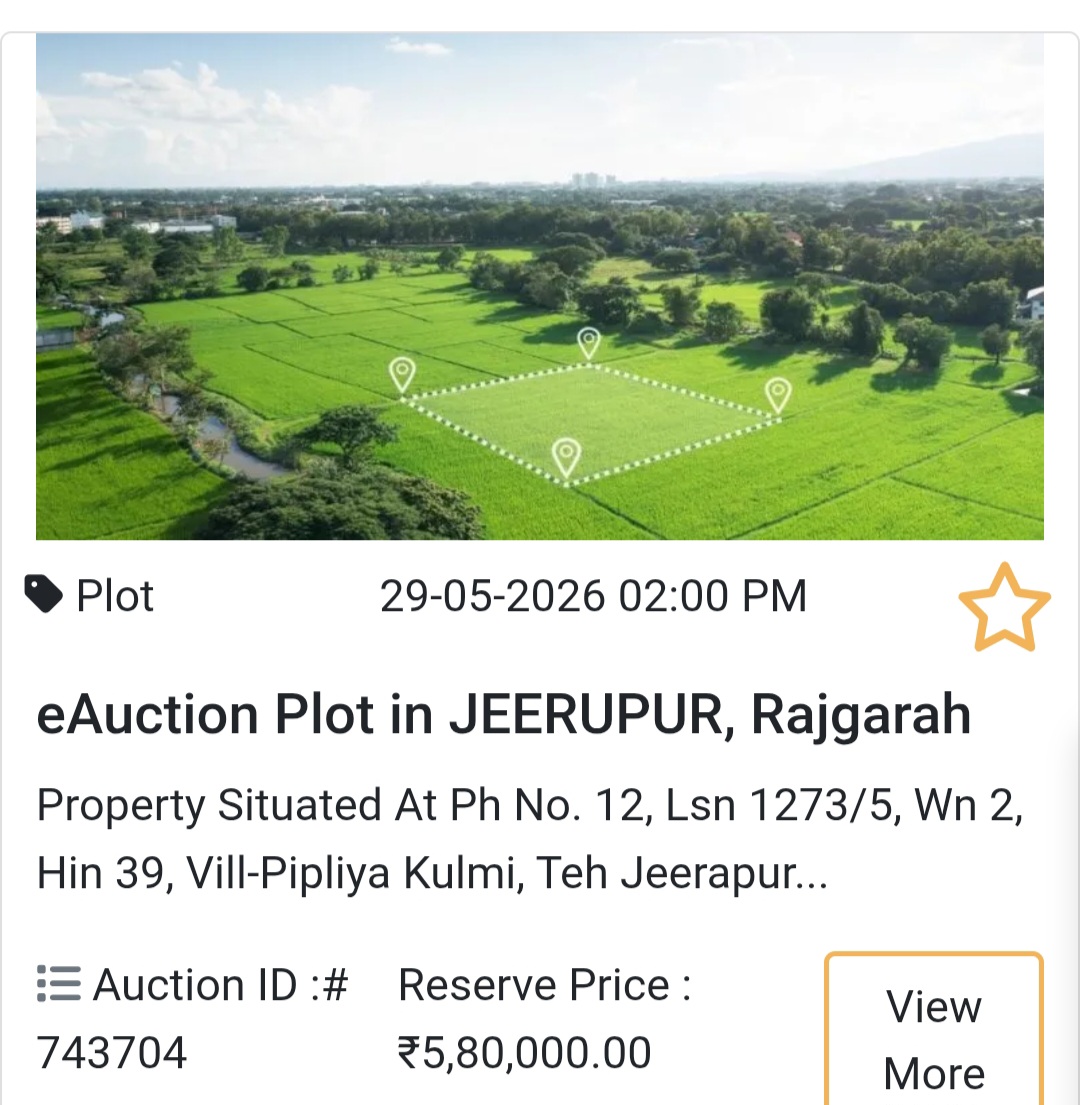 🌱 Budget Plot in Jeerapur