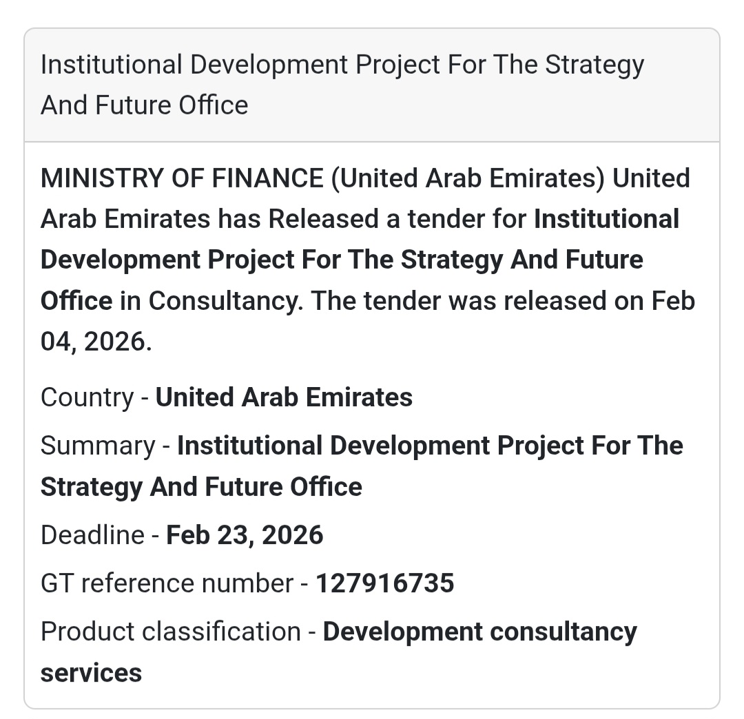 🏛️ Institutional Development Project – Strategy & Future Office