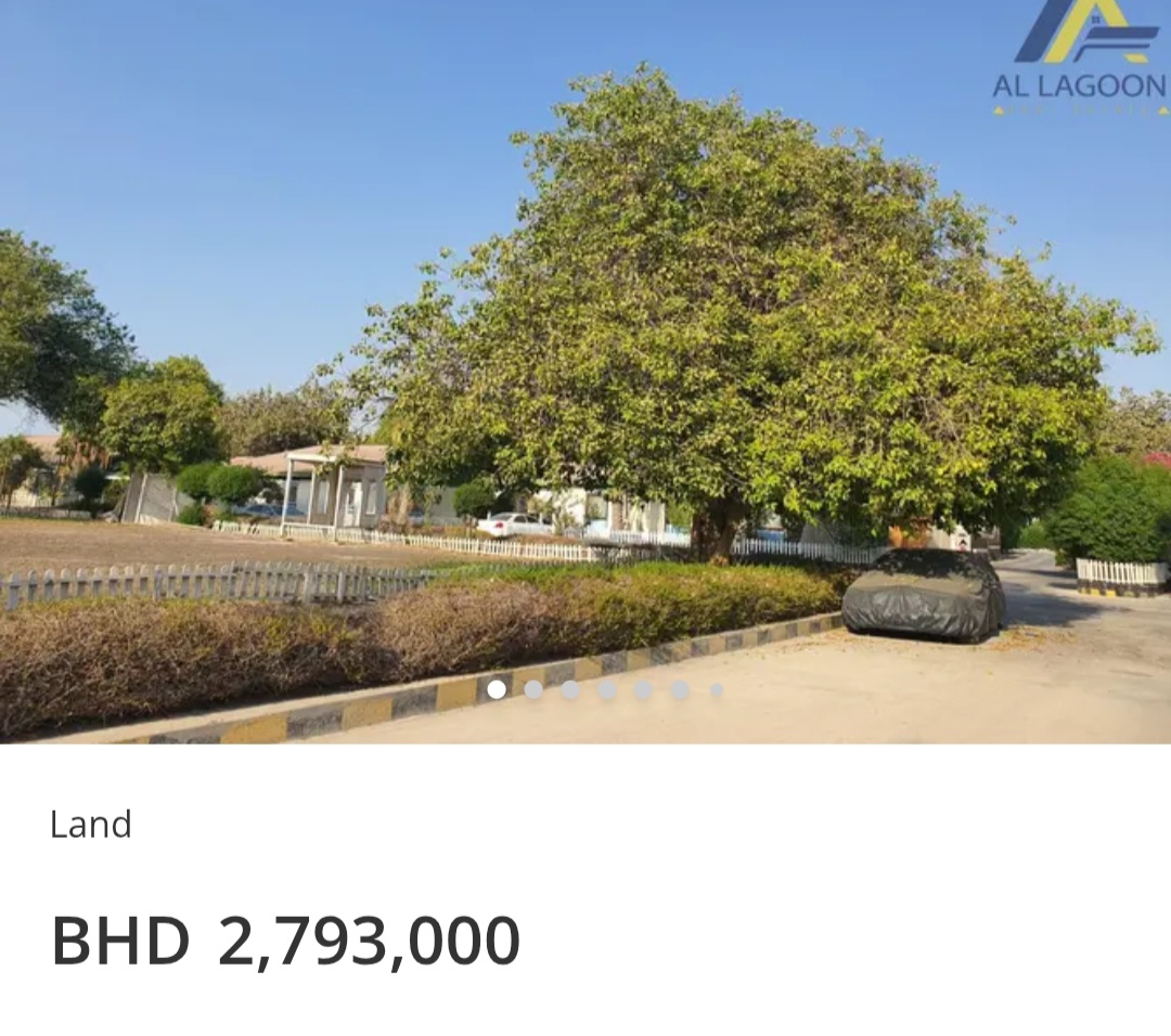 🌳 Investment Land | Jannusan