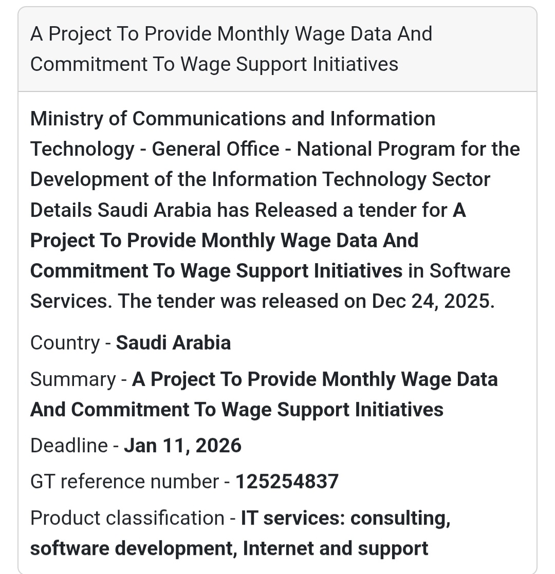 💻 IT Project – Monthly Wage Data & Wage Support 🇸🇦