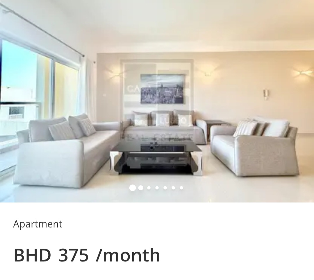 🐾 PET FRIENDLY | MODERN LIVING