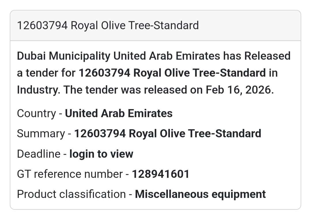 🌳 Royal Olive Tree – 12603794
