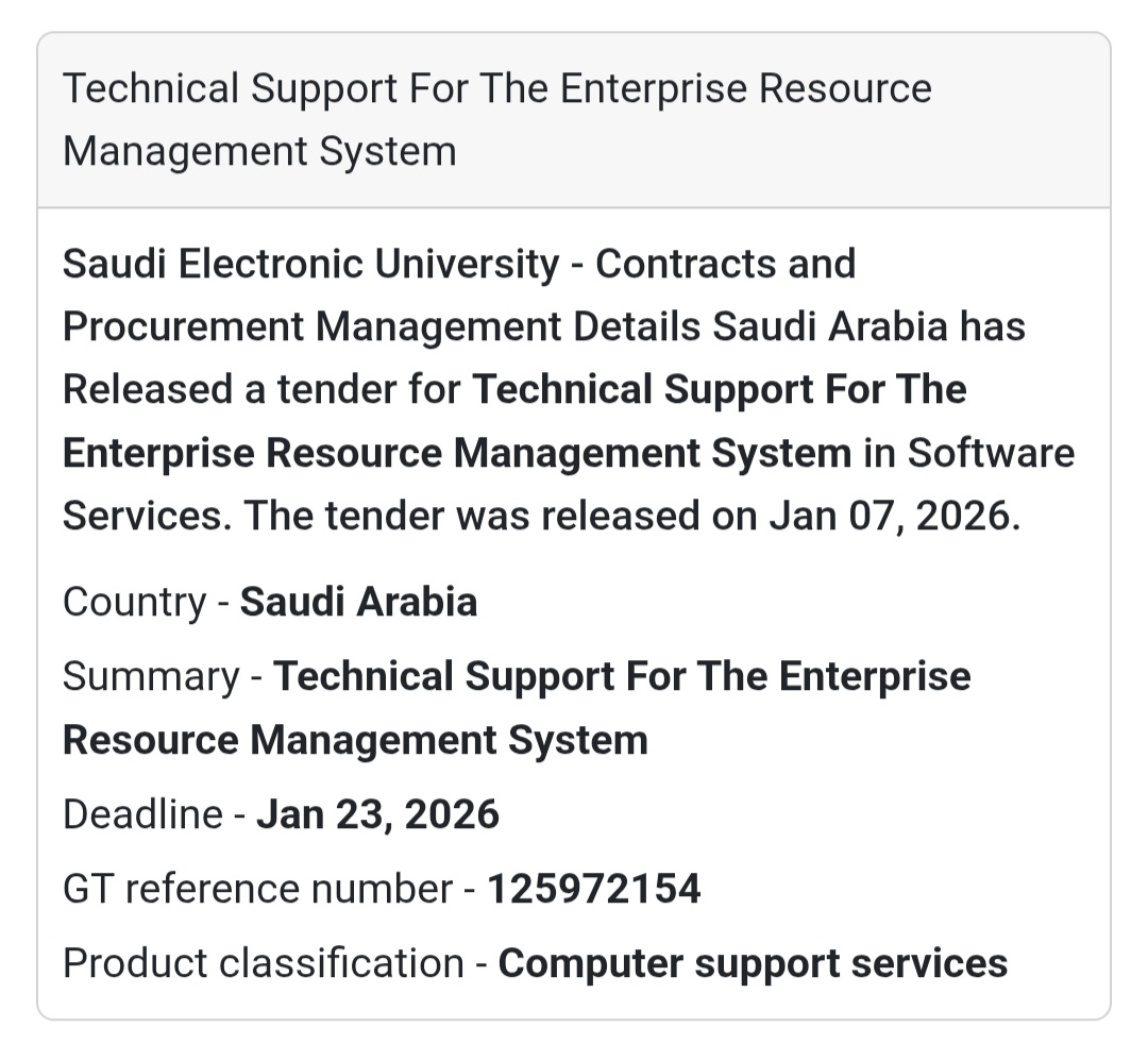 💻 Technical Support – ERP System