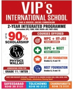 VIP International School