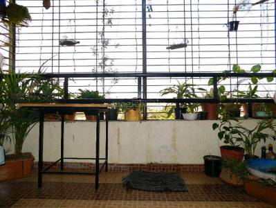 50.0 Lac ₹7,082/sqft Validate Market Price with  PropWorth 2 BHK Flat For Sale in Sonigara Pearl Kiwale, Pune