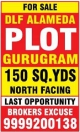 DLF Alameda Gurugram Plot For Sale